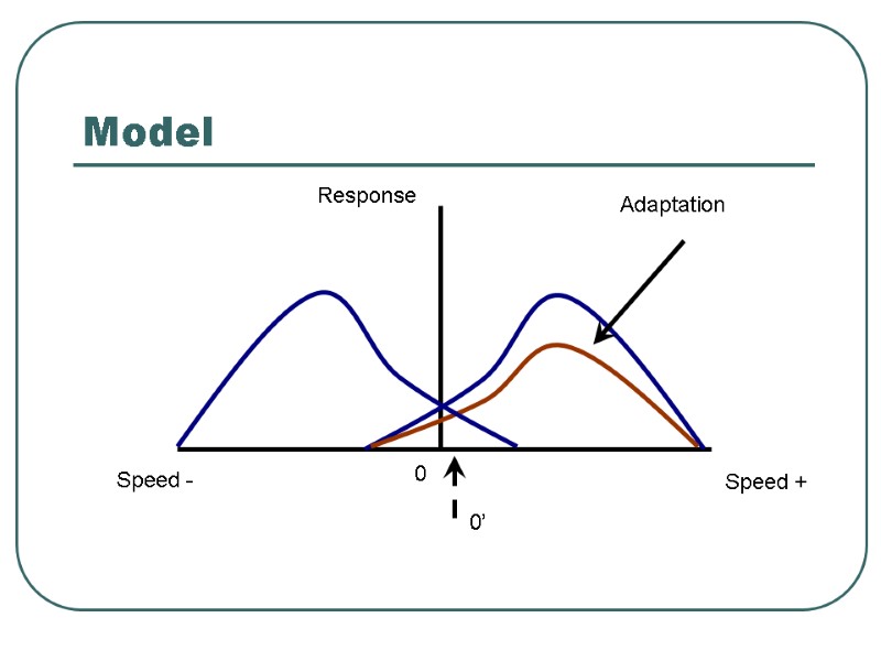 Model Response Speed + Speed - 0 Adaptation 0’